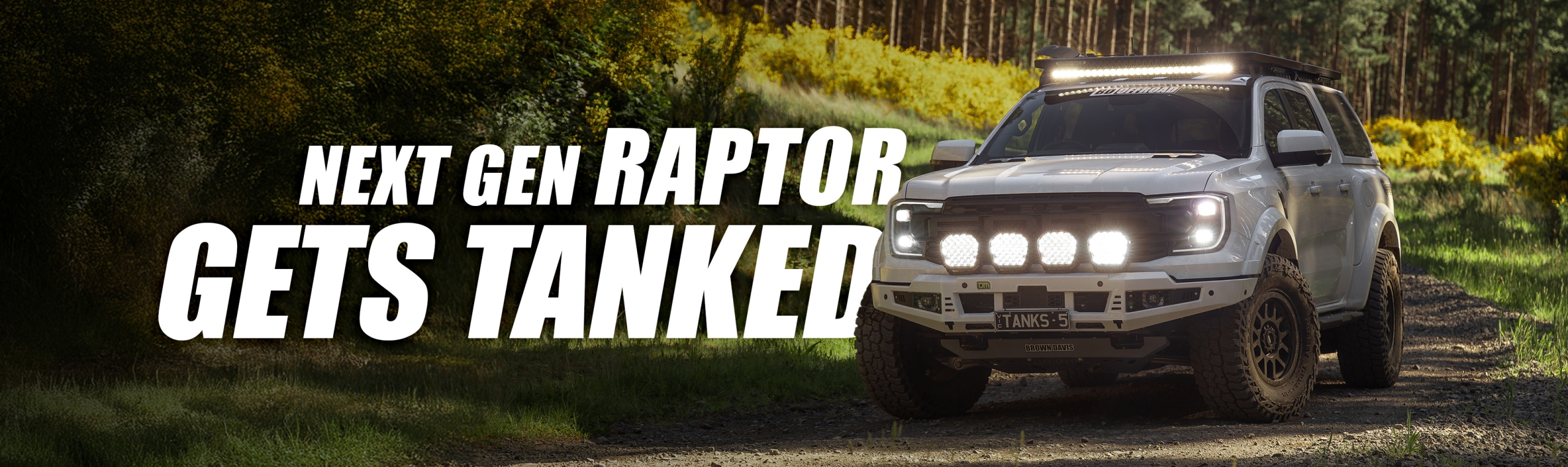 Brown Davis Raptor Next Gen Page Banner 2