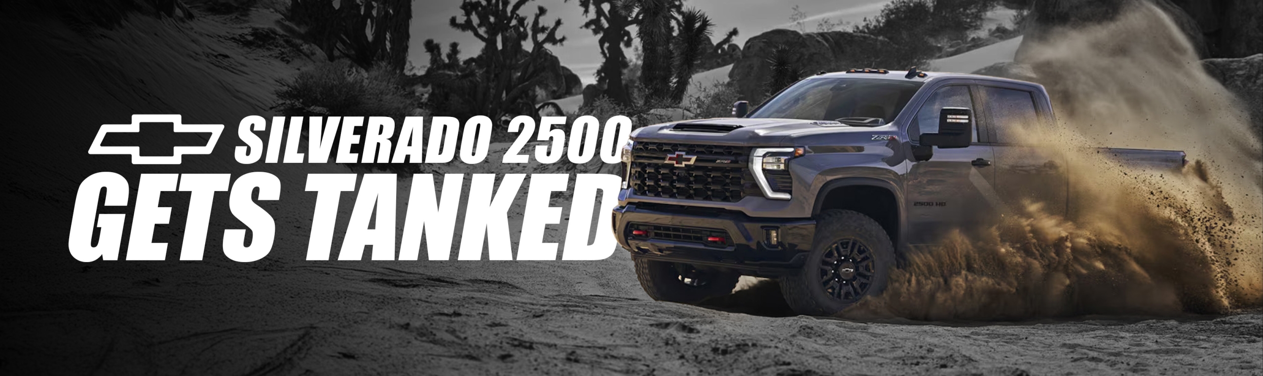 Brown Davis Chev Silv 2500 Page Banner